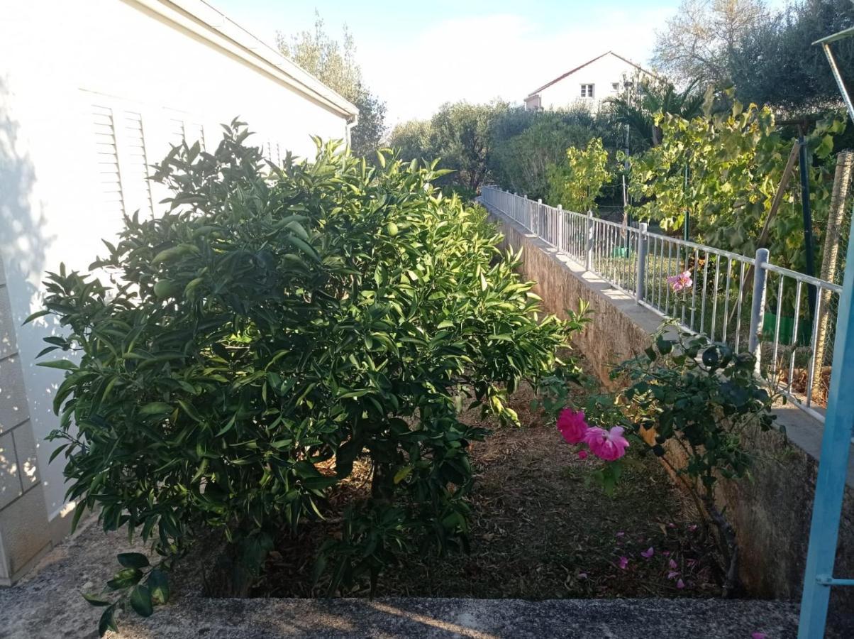 My Mediterranean Villa With Huge Garden And Own Parking Lumbarda Exteriér fotografie